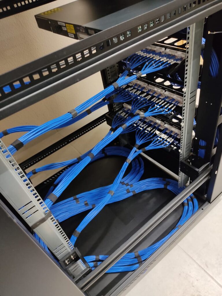 patinho_olho_azul-768x1024